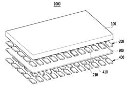 Flexible display device