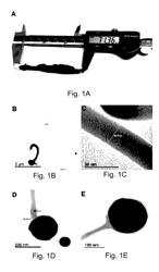 CARBON NANOSTRUCTURE SYNTHESIS