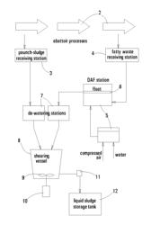 Shearing fibrous bio-sludge