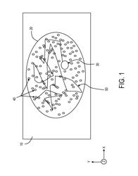 CELLULAR PHONE BASED OPTICAL DETECTION OF SPECIFIC NUCLEIC ACID SEQUENCES