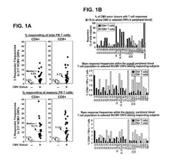 SIV AND HIV VACCINATION USING RHCMV- AND HCMV-BASED VACCINE VECTORS