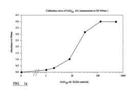 DETECTION OF AUTOANTIBODIES REACTIVE WITH PANCREATIC ISLET CELL ANTIGENIC MOLECULES AND/OR INSULIN