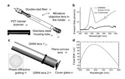 FIBER-OPTIC METHODS AND DEVICES ENABLING MULTIPHOTON IMAGING WITH IMPROVED SIGNAL-TO-NOISE RATIO