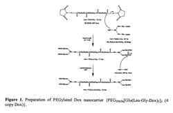 Nanocarrier and nanogel compositions