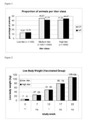 Treatment of pigs with PCV2 antigen