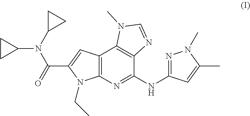 Process for the preparation of N,N-dicyclopropyl-4-(1,5-dimethyl-1H-pyrazol-3-ylamino)-6-ethyl-1-methyl-1,6-dihydroimidazo[4,5-d]pyrrolo[2,3-b]pyridine-7-carboxamide