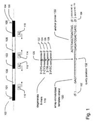 Methods and compositions for efficient base calling in sequencing reactions