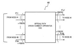 OPTICAL NETWORK