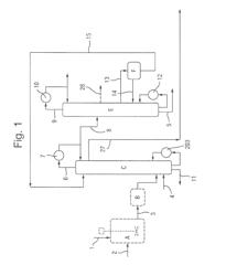 Process for the preparation of succinic acid ester