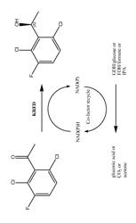 Methods of using ketoreductase polypeptides for reduction of acetophenones