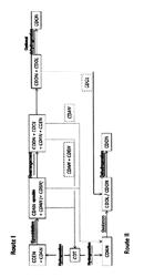 Process for preparing cyclododecanone