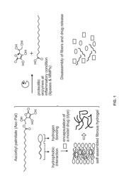 NANOSTRUCTURED GELS CAPABLE OF CONTROLLED RELEASE OF ENTRAPPED AGENTS