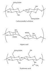 Sustained release of nutrients in vivo