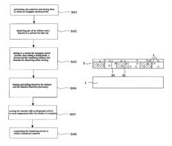 Functional material and method for preparing the same, three-dimensional display raster and display device