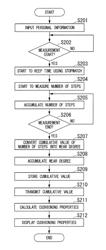 Electronic apparatus and program