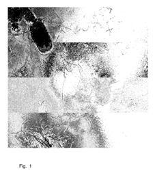 Stable dispersions of single and multiple graphene layers in solution