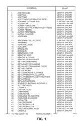 Composition Comprising Plants Extracts that Synergistically Treat or Inhibit Pathological Conditions and Method of Making