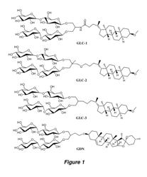 Amphiphilic compounds