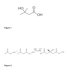 Method for the production of 3-hydroxy-3-methylbutyric acid from acetone and an activated acetyl compound