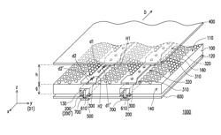 Light source module