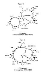 Fusion Molecules