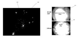 Optical and chemical analytical systems and methods