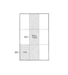 System for associating tag information with images supporting image feature search