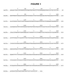 Modification of flavonoid biosynthesis in plants