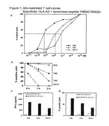 REPERTOIRE OF ALLO-RESTRICTED PEPTIDE-SPECIFIC T CELL RECEPTOR SEQUENCES AND USE THEREOF