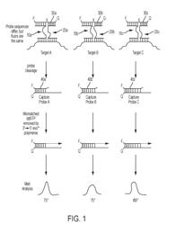 METHODS AND COMPOSITIONS FOR CATALYTIC ASSAYS