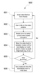 SYSTEMS AND METHODS FOR CONVEYING PHYSICAL STATE OF A REMOTE DEVICE