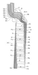 Flexure of disk drive suspension