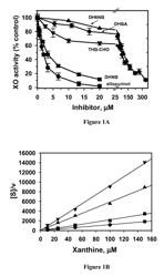 Xanthine oxidase inhibitors and methods of use