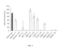 Peptides for the treatment and early diagnosis of Alzheimer's disease and other tauopathies