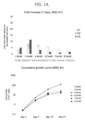 Method for culturing mesenchymal stem cells