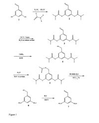 Method of detection of amino acid sequence and/or identification of peptides and proteins, by use of a new derivatization reagent and synthesis of 5-formyl-benzene-1,3-disulphonic acid as derivatization reagent