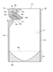 PACKAGE BAG AND METHOD FOR PRODUCING SAME