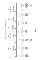 Methods of producing pancreatic hormones