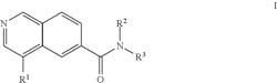 Isoquinoline derivatives