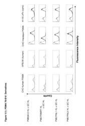 Cross-species-specific PSMAxCD3 bispecific single chain antibody