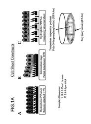 Three-dimensional tissue structure