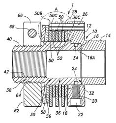 Screw fastener