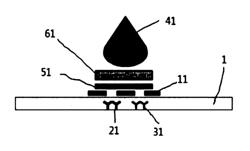 Membrane biosensor having multi-hole film attached thereto and method for measuring immunological reaction or enzymatic reaction using the same