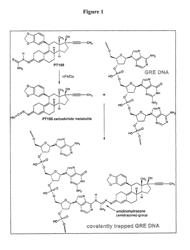 Pharmaceutical compositions and methods