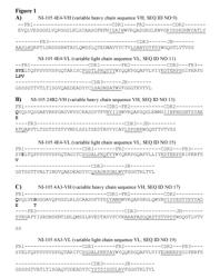 Human anti-tau antibodies