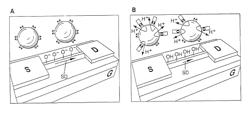 Calibration of nanostructure sensors