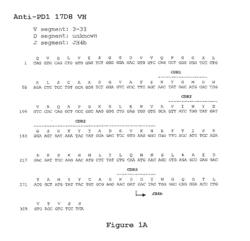 Monoclonal Antibodies to Programmed Death 1 (PD-1)