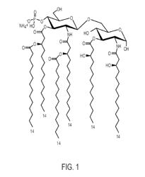 Compositions and methods for treating influenza