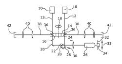 Apparatus for confocal observation of a specimen