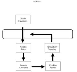 INHIBITION OF GLIADIN PEPTIDES